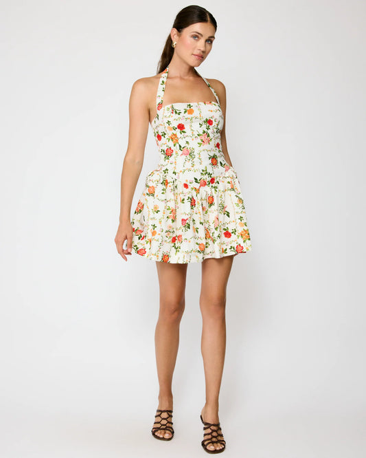 Anisa Dress